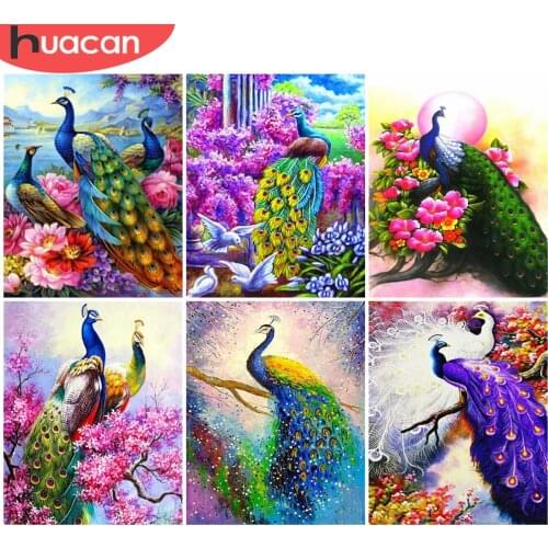 HUACAN DIY Frame Painting By Numbers Peacock Animal On Canvas Acrylic Wall Art Picture By Numbers Flower For Living Room