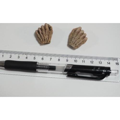 1/6 of the Action Figures model NS001 COOMODEL peddler sword knight zombie hand