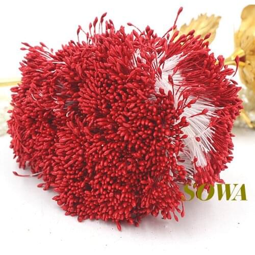 Free Shipping 1mm 900pcs/Lot Double Heads Red Flower Pearl Stamen Cake Decoration Craft DIY