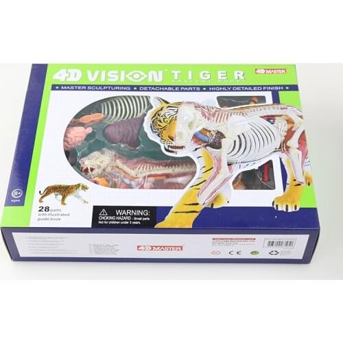 Tiger Teaching Model 4D MASTER Puzzle Assembly Toy Animal Biological Organ Anatomy Medicine