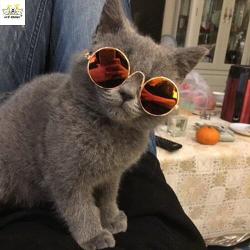 New Fashion Cool Cat Sunglasses Dog Sunglasses Teddy Personality Funny Headwear Pet Accessories Cat Glasses