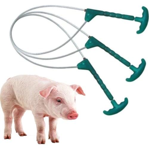 1PCS pig farming equipment stable wire circle grasp plastic handle strapped injection antiepidemic tools sow capture tools