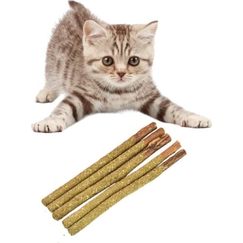 5pcs Cat Molar Toothpaste Stick Natural Catnip Molar Rod Actinidia Fruit Silvervine Wood Polygonum Pet Snacks Cleaning Teeth