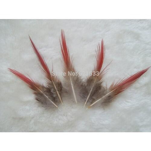 50Pcs/Lot! 5-9cm Loose Nature Golden Pheasant Feathers, Red Tipped, Striped Plumes,Decoration Accessories