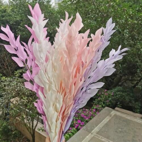5pcs/40cm,Natural Fresh Preserved Orange Leaf bouquet,Display Eternell Dracaena Flowers branch for Wedding Party Home Decoration