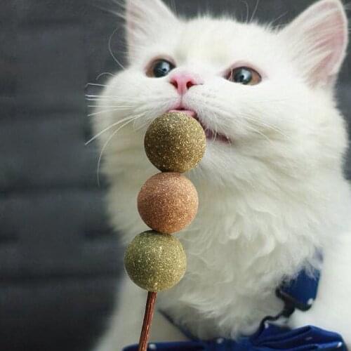 Natural Catnip Pet Cat Molar Toothpaste Stick Catnip Treat Ball Silvervine Cat Snacks Sticks Pet Cleaning Teeth for Cats