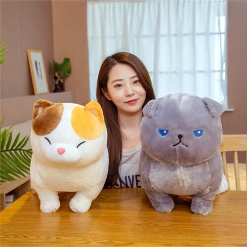 New Huggable Kawaii Fat Cats Plush Toys Stuffed Kawaii Animal Doll Soft Cartoon Pillow Birthday Gift for Kids Baby Room Decor