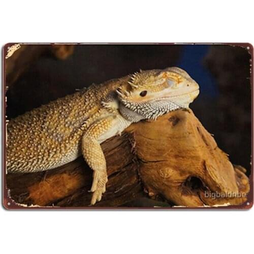 Sleepy Dragon Metal Signs Cinema Kitchen Wall Customize Wall Decor Tin sign Posters