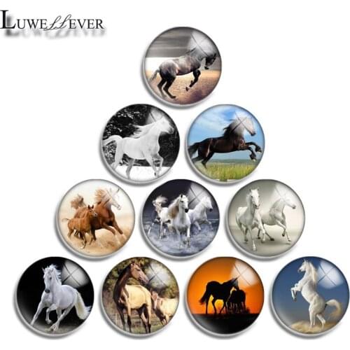 10mm 12mm 16mm 20mm 25mm 30mm 564 Horse Mix Round Glass Cabochon Jewelry Finding 18mm Snap Button Charm Bracelet