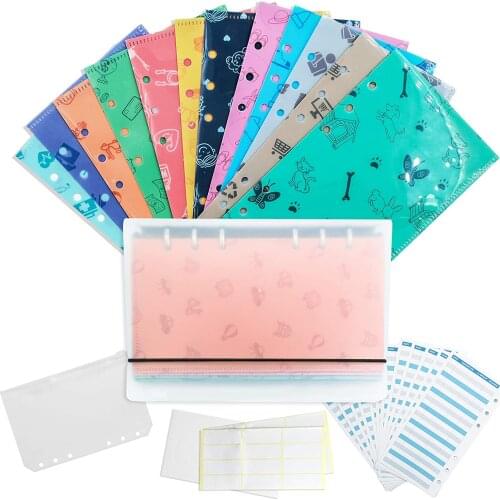 Plastic Budget Wallet for Cash Savings Reusable Cash Envelopes Binder Budget System with 12 Budget Sheets and 2 Stickers,1 Pouch