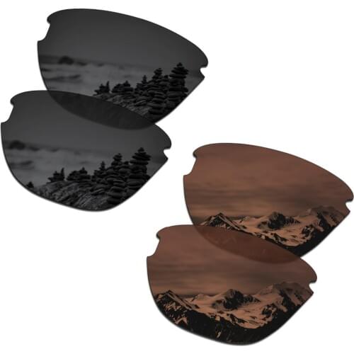 SmartVLT 2 Pairs Polarized Sunglasses Replacement Lenses for Oakley Frogskins Lite Stealth Black and Amber Brown