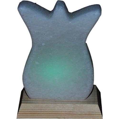 Tulip Shaped Natural Rock Salt Lamp Wired Bulb White 1-2Kg