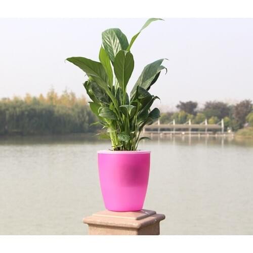 Lazy Flower Pot Automatic Water Visual Level Absorption Plastic Resin Pot Green Plant Water Culture Bonsai Pot Dinosaur Eggs