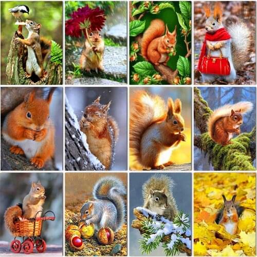 Full Square/Round Drill 5D Diy Diamond Painting Animals Squirrel 3D Daimond Embroidery Rhinestone Cross Stitch Mosaic Home Decor
