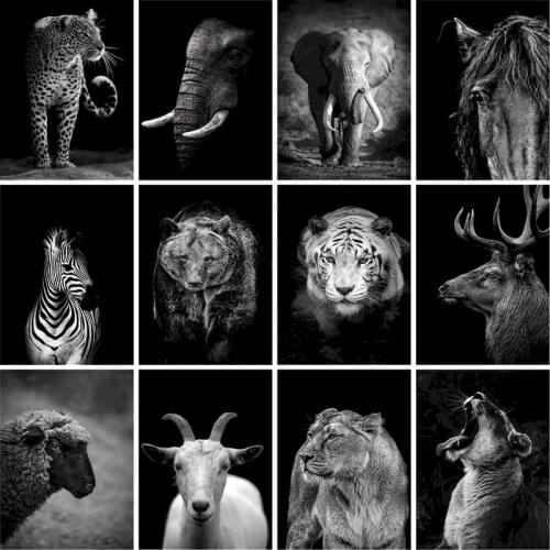 GATYZTORY Frame DIY Painting By Numbers Black White Animals Drawing By Numbers Modern Wall Art Painting & Calligraphy For Home D