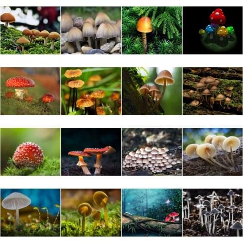 Mushroom Diy 5D Full Diamond Painting Diamond Embroidery Animal Cross Stitch Mosaic Rhinestone Manual Art Baby Home Decor Gift