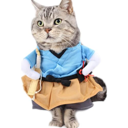 Traumdeutung Clothes For Cats