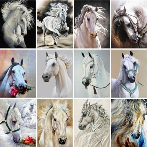 EverShine Diamond Embroidery Horse Picture Rhinestones Diamond Painting Fulll Square Animals Cross Stitch Handmade Home Decor