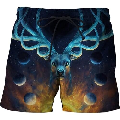 Large Plate Shorts Best Plate Shorts for Men New Large Plate Shorts for Men Summer Shorts 3D Beach Swim Quick Dry Print Swimsuit