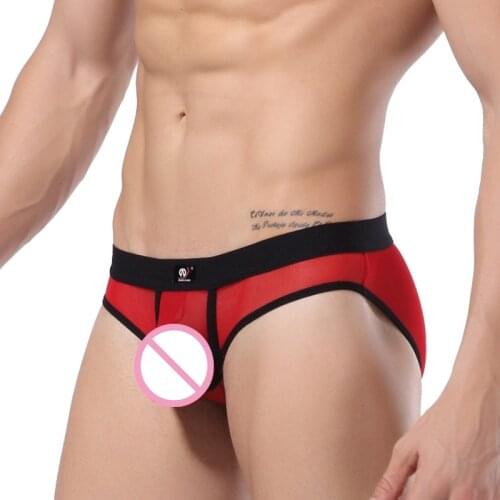 Sexy men mesh Briefs Underwear sheer Gay Briefs Elastic U Convex Underwear for Gay Transparent brief