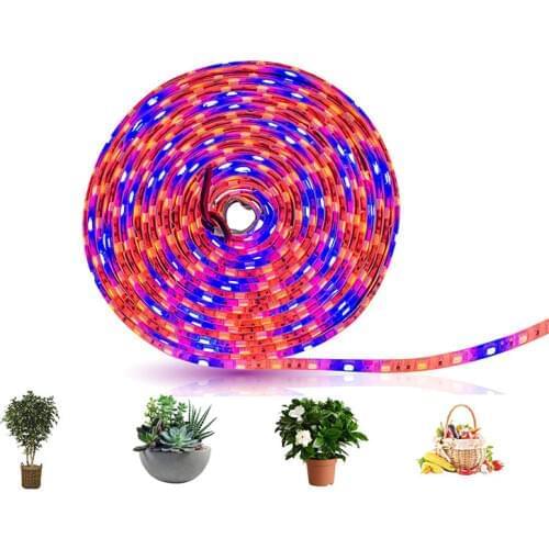 LED 5M Grow Light Strip S5050 3/4/5 Red 1 Blue Full Spectrum IP65 Phyto Lamp DC12V Fitolamp for Greenhouse Hydroponic Plant Grow