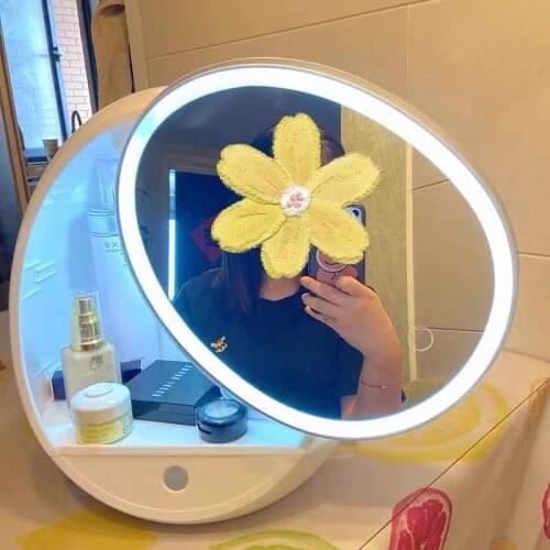 LED Light Mirror Big Capacity Cosmetic Storage Box Dustproof Makeup Organizer Desktop Drawer Jewelry Lipstick Makeup Container