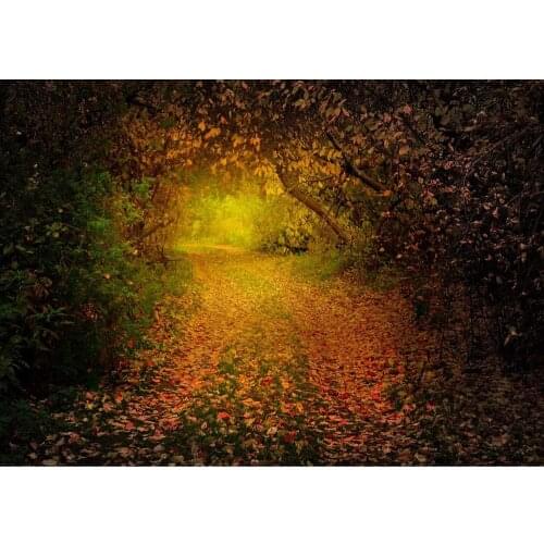 Dusky Forest Pathway Vinyl Photographic Backgrounds for Baby Children Backdrop Photo Studio Photobooth Photo Shooting Photophone