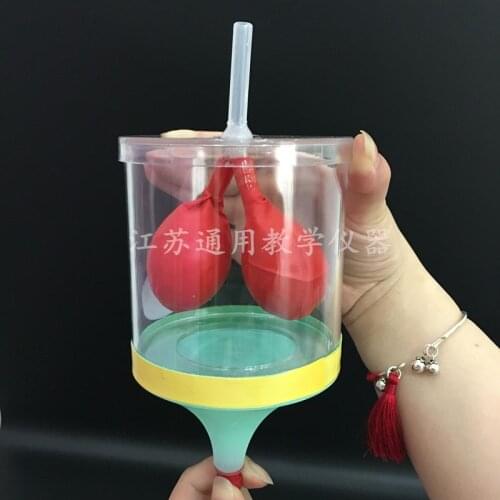Manual Diaphragm motion simulatorbiological instrument teaching model diaphragm muscle lung breathing demonstration