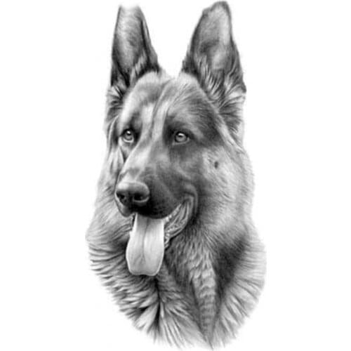 Animal German Shepherd Printed Water-Soluble Canvas 11CT Cross-Stitch Embroidery Kit DMC Threads Handiwork Hobby Magic