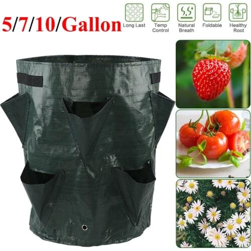 Plant Grow Bag 5/7/10 Gallon Strawberry Planting Waterproof PE Colorful 8 Mouth Gardening Seedling Breeding Bag D30