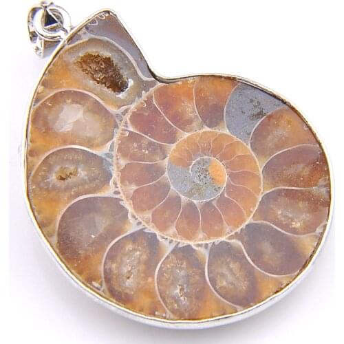Promotion Gift Ammonite Fossil Silver Plated Wedding Pendant Russia USA Holiday Gift Pendant Australia Pendant Necklace