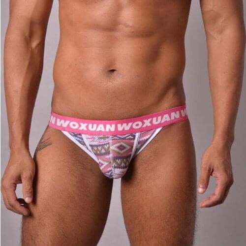 AIIOU Mens Underwear Printed Cotton Briefs Sexy Male Panties Low Waist Penis Pouch Comfortable Breathable Underpants Gay Cueca