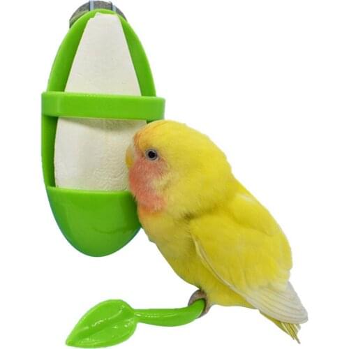 Parrot Feeder With Standing Rack Fruit Vegetable Holder Plastic Hanging Food Container Cage Accessories Pet Bird Supplies