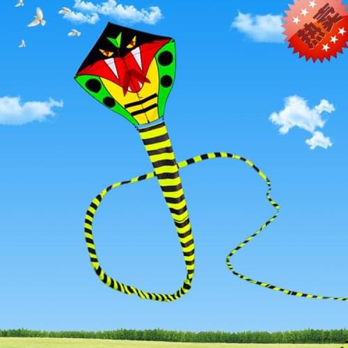 Soft cartoon fly dragon 3d Weifang snake kite flying toy ripstop nylon kites cobra single line kites bar windsock kiting rainbow