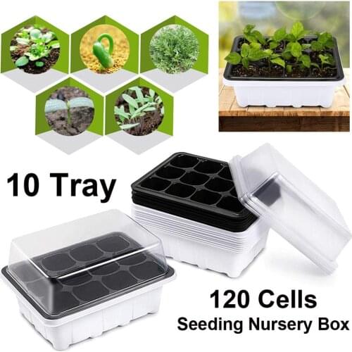 10Pcs Seedling Tray Seed Starter Tray with Dome and Base 12 Cells Seed Germination Plants Propagation For Gardening Bonsai