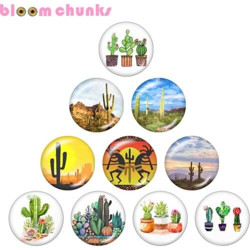 Cactus Arizona 12mm/18mm glass snap button jewelry Round glass cabochon demo flat back Making findings C1485