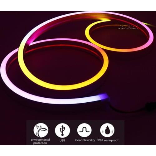 1m 2m 3m USB WS2812B Silica Gel Flexible LED Neon Lichter for Home Dekoration Shape DIY Pixel leds Smart RGB WS2812ic IP67 DC5V