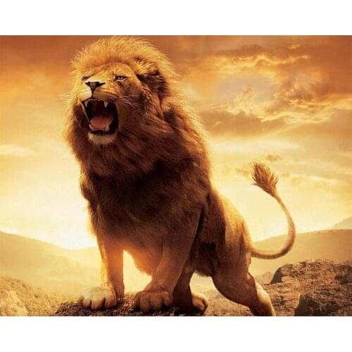 DIY Digital Painting By Numbers mad lion oil painting mural Kits Coloring Wall Art Picture Gift frameless