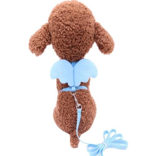 TINGHAO Cute Solid Color Mini Wings Design Leashes Nylon Pet Harness Chest Strap Dog Cat Lead Leash Drop Shipping