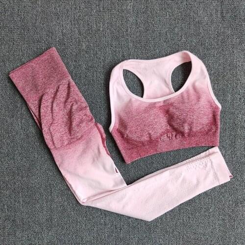 Seamless 2 Piece Women Yoga Set Gym Clothing Fitness Workout Leggings + Bra Sport Suit Women Sexy Athletic Tracksuit Active Wear