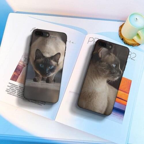 Pet Siamese Cat DIY Painted Bling Phone Case Fundas Shell Cover For Iphone 6 6s 7 8 Plus Xr X Xs 11 12 13 Mini Pro Max
