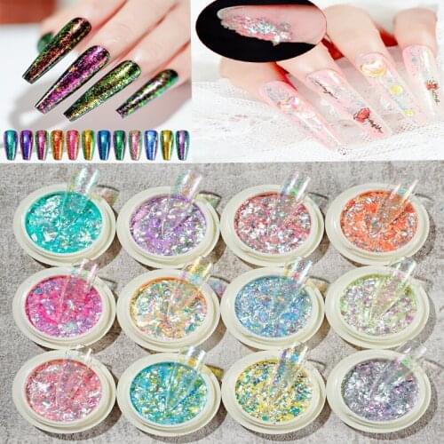 3G/Bottle 12jars/Set Fish Scales/Mermaid Nail Iridescence Powder Brocade Snow Velvet Shiny Dust Polarized High-gloss Aurora Gli