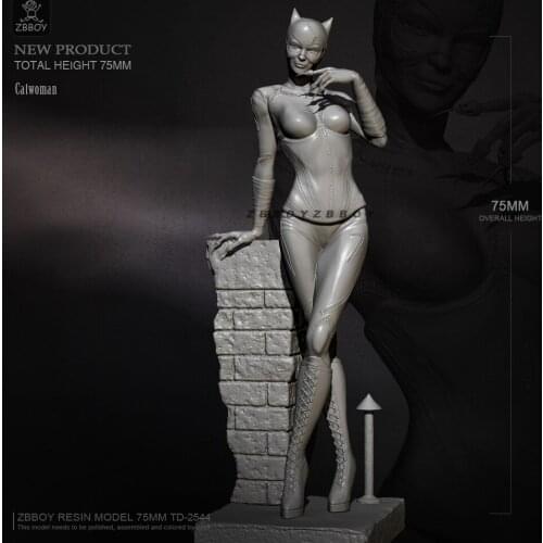 H75mm 1/24 Resin model kits figure DIY self-assembled TD-2544