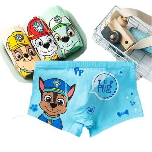 2020 New 4pcs Genuine paw patrol underpant cotton chase marshall rocky rubble Doll underwear kids Children toy Birthday gift