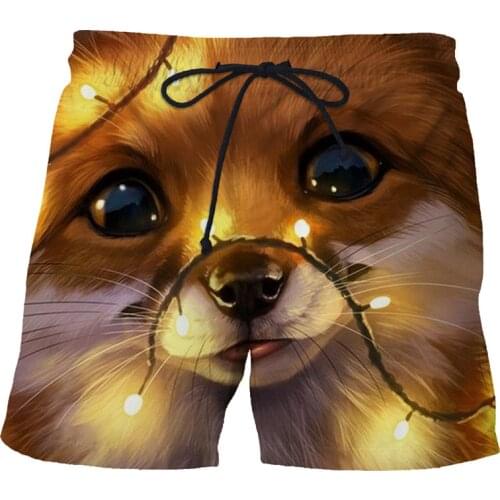 Mens Animal Graphic Beach Shorts 3D Pattern Predator Boardshorts Men/Women Short Pants