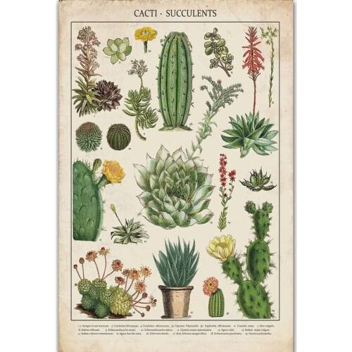 Cacti & Succulents Canvas Painting Modern Wall Art Picture Cuadros Posters and Prints Painting for Living Room Home Decor