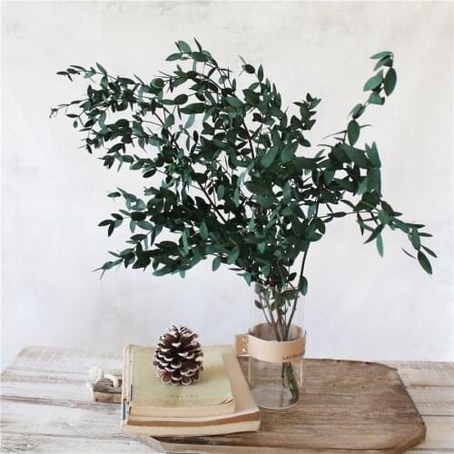 Dried Natural Flowers Preserved Eucalyptus Leaves Eternal Dry Flower Wedding Marriage Home Living Room Decoration Accessories