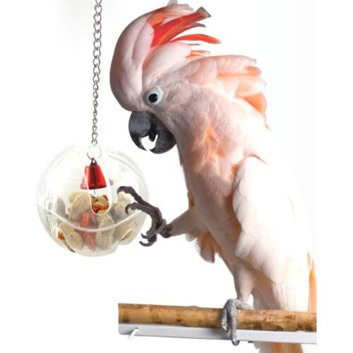 Pets Bird Parrot Food Feeder Foraging Bell Chain Ball Cage Feeding Chew Toy