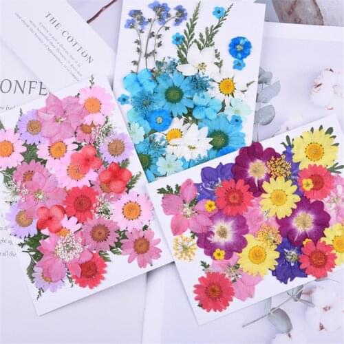 Natural Dried Flowers Pressed Herbarium Flower Decorative Crafts filler for silicone mold jewelry making Chrysanthemum rose