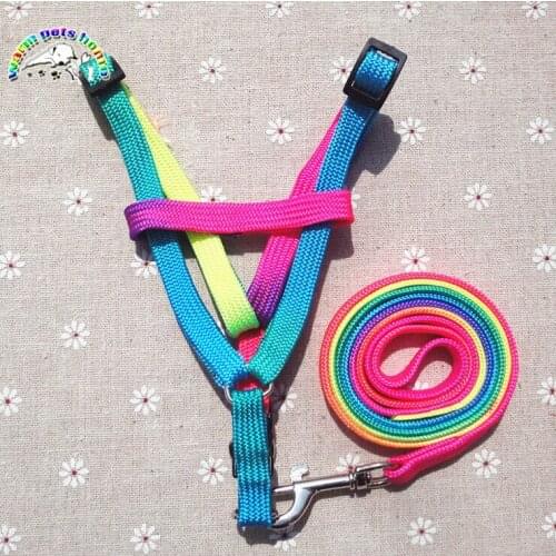 6PCS Colorful Rainbow Pet Dog Collar Harness Leash Soft Walking Harness Lead Colorful and Durable Traction Rope Nylon 120cm